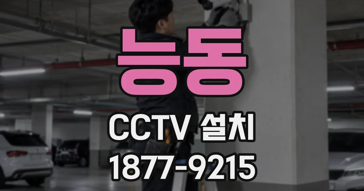 능동 CCTV 설치