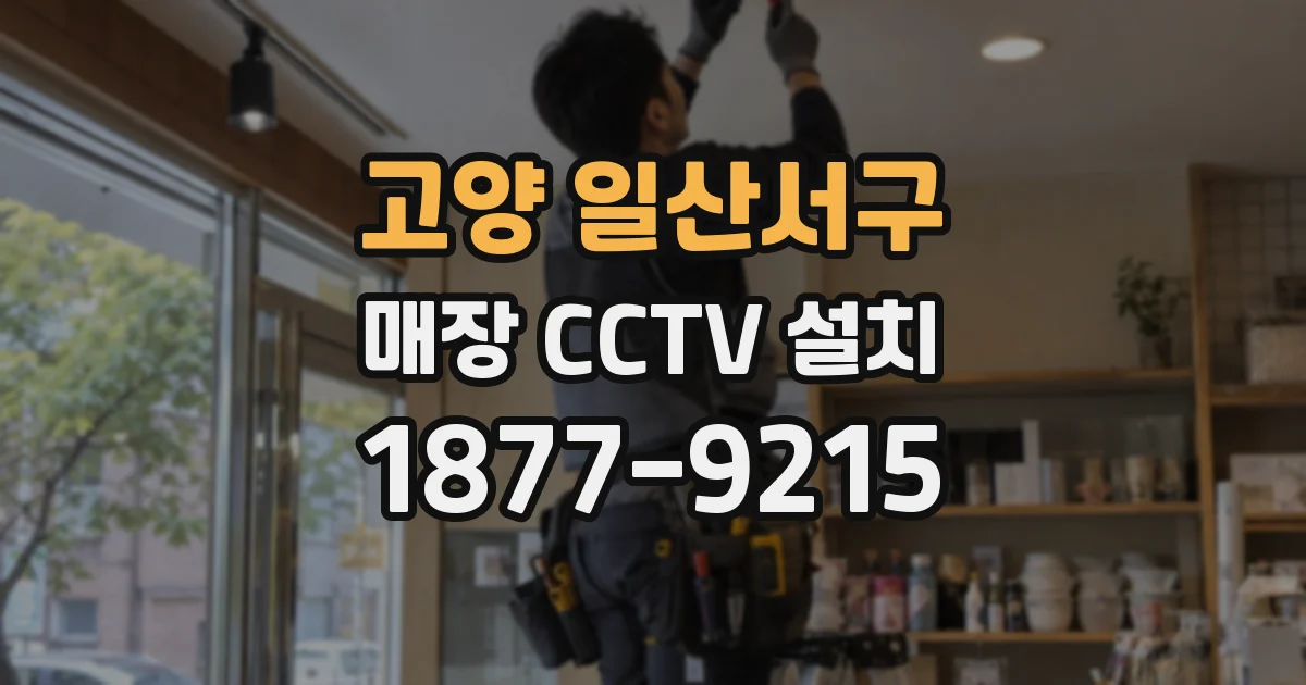 고양 일산서구 매장 CCTV 설치
