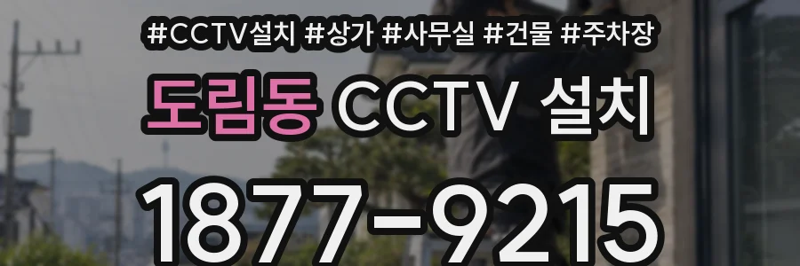 도림동 CCTV 설치