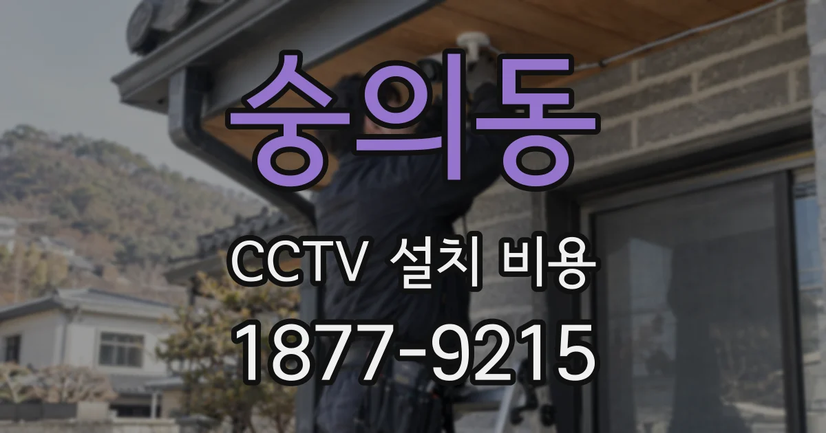 숭의동 CCTV 설치 비용