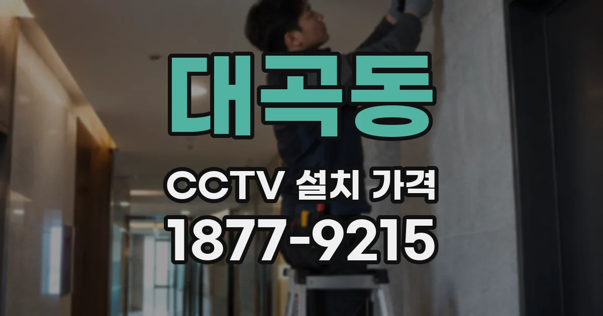 대곡동 CCTV 설치 가격