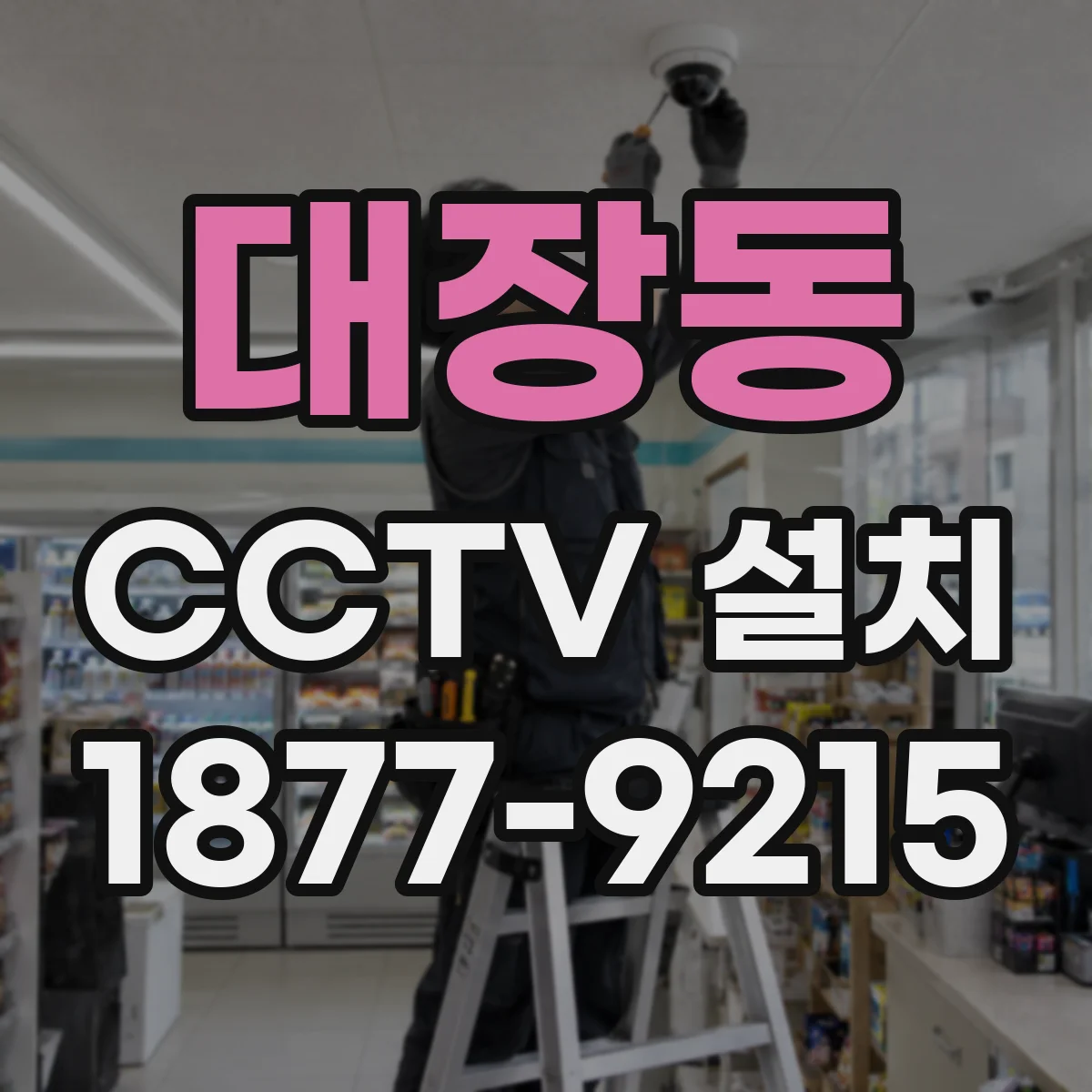 대장동 CCTV 설치