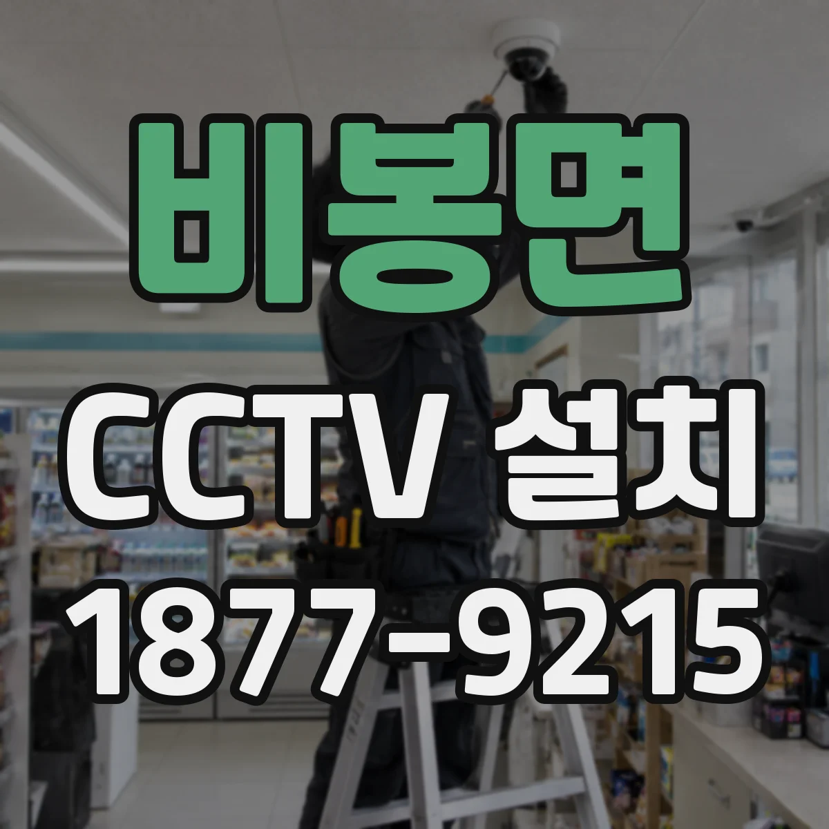 비봉면 CCTV 설치