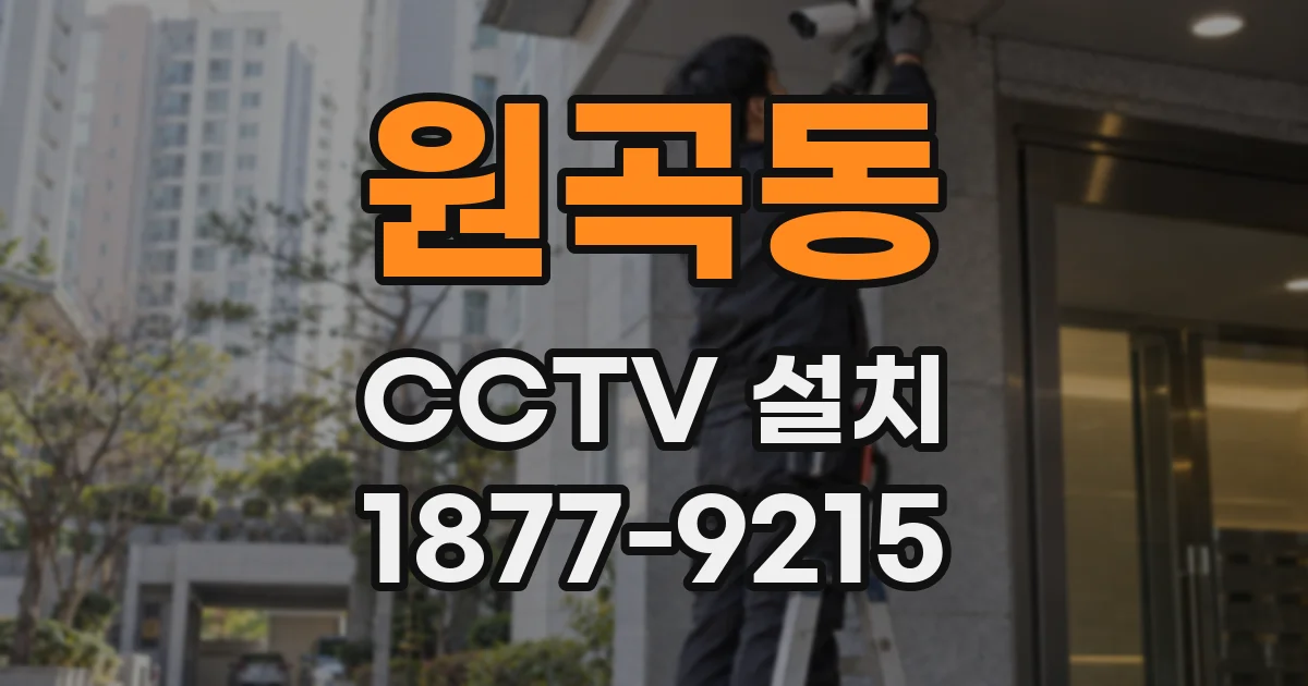 원곡동 CCTV 설치