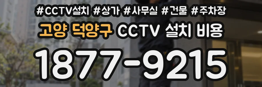 고양 덕양구 CCTV 설치 비용