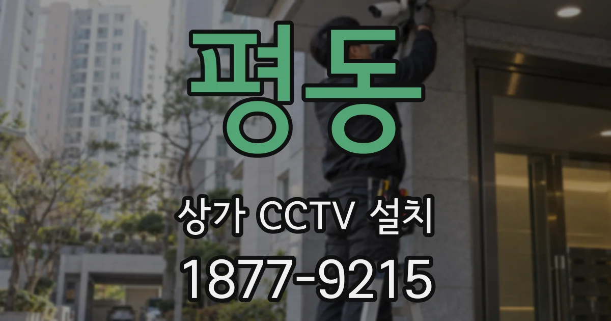평동 상가 CCTV 설치