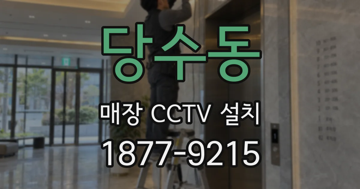 당수동 매장 CCTV 설치