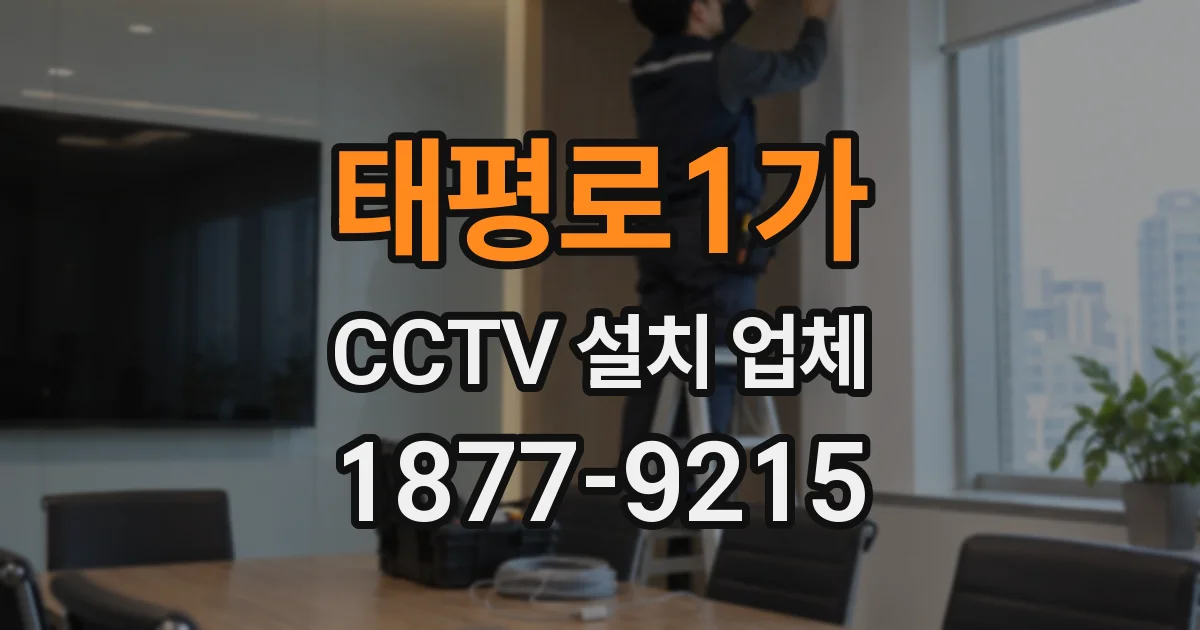 태평로1가 CCTV 설치 업체