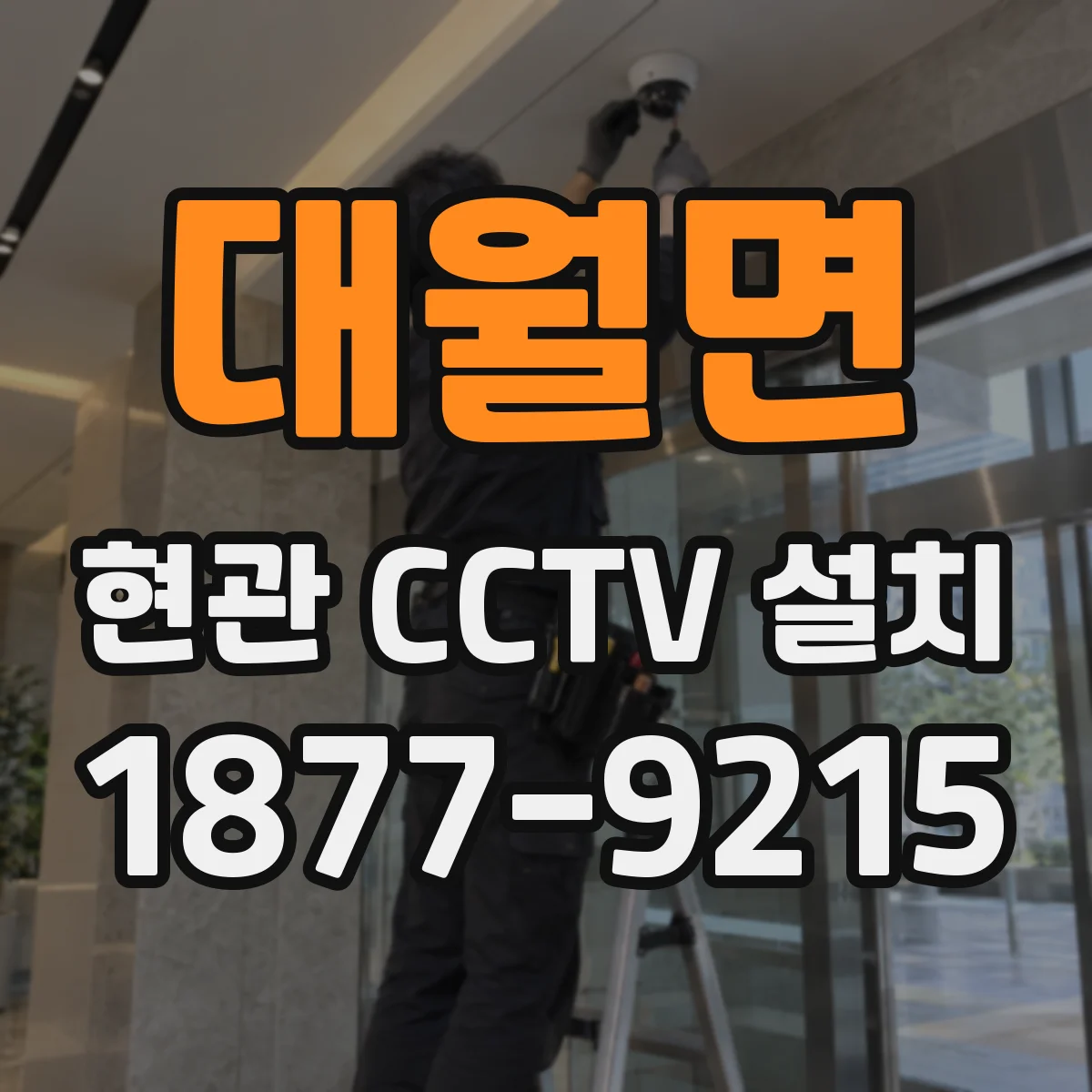 대월면 현관 CCTV 설치