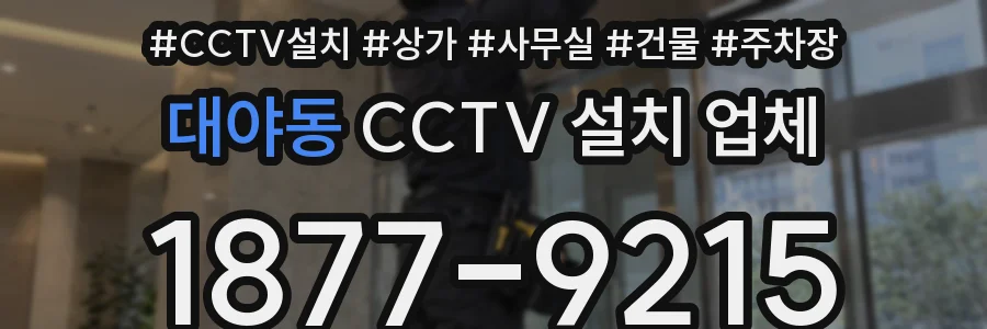 대야동 CCTV 설치 업체