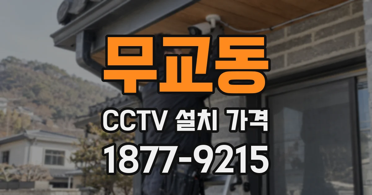 무교동 CCTV 설치 가격