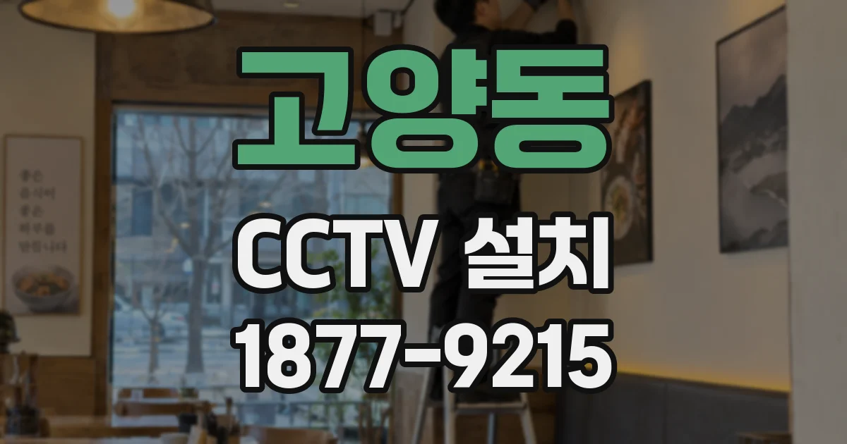 고양동 CCTV 설치