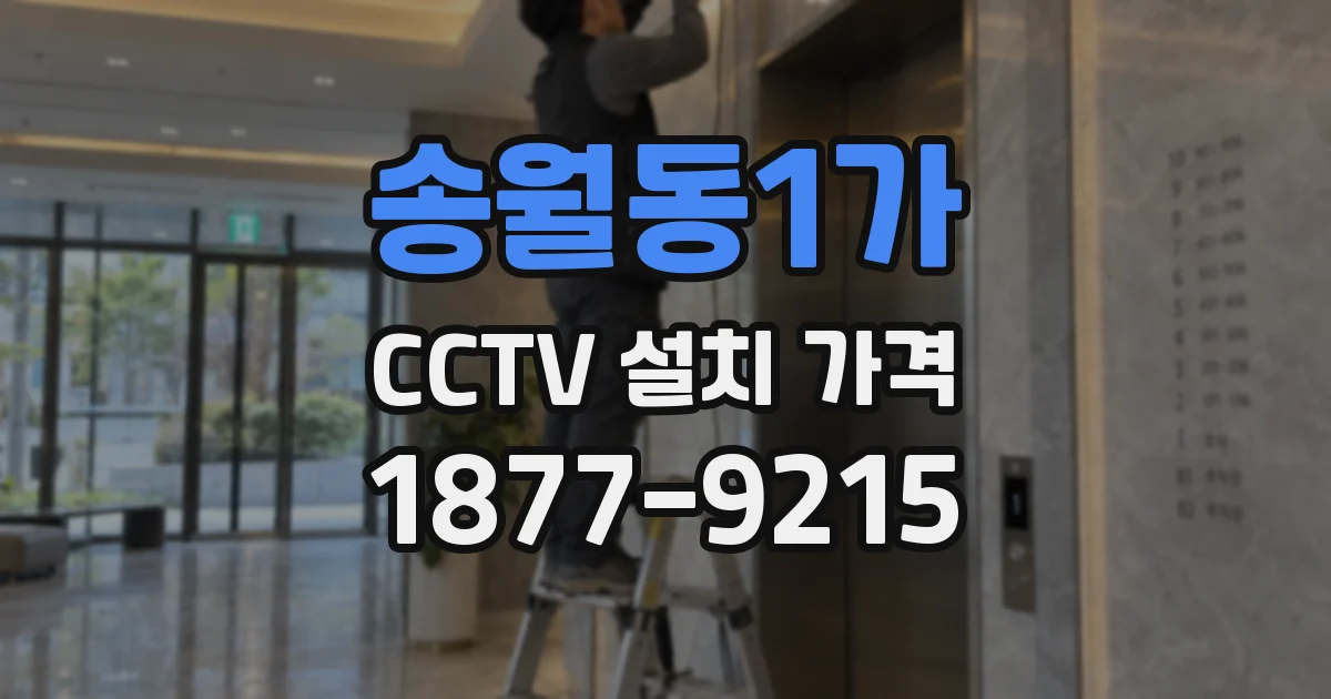 송월동1가 CCTV 설치 가격