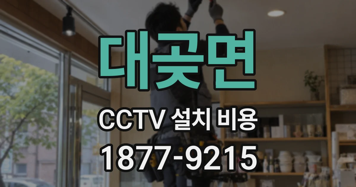 대곶면 CCTV 설치 비용