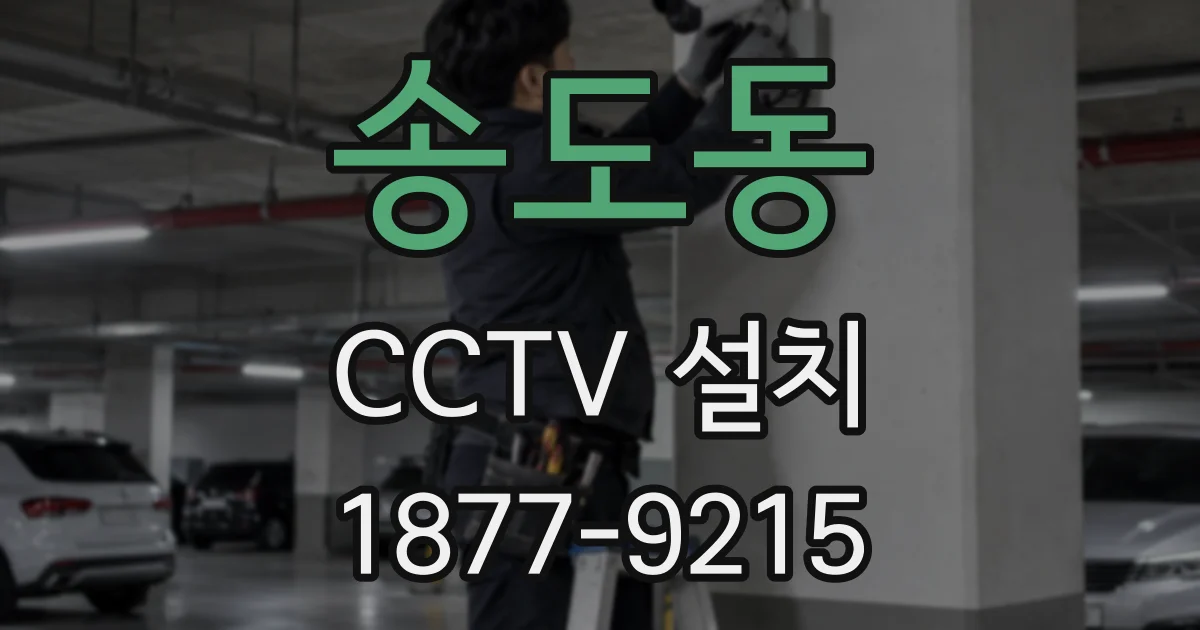 송도동 CCTV 설치
