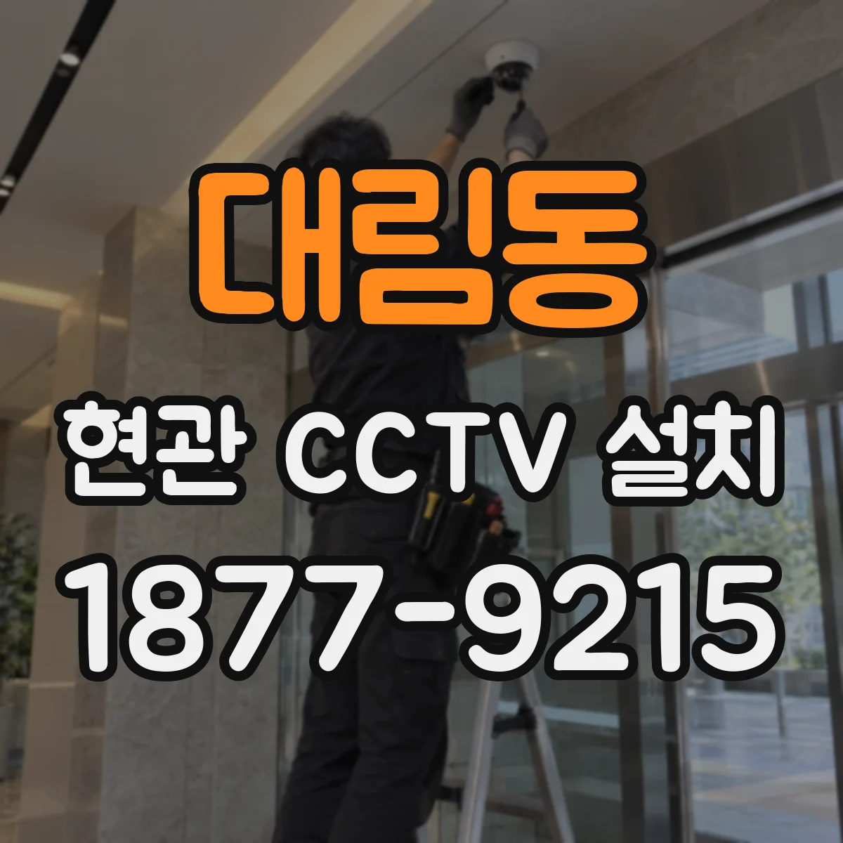 대림동 현관 CCTV 설치
