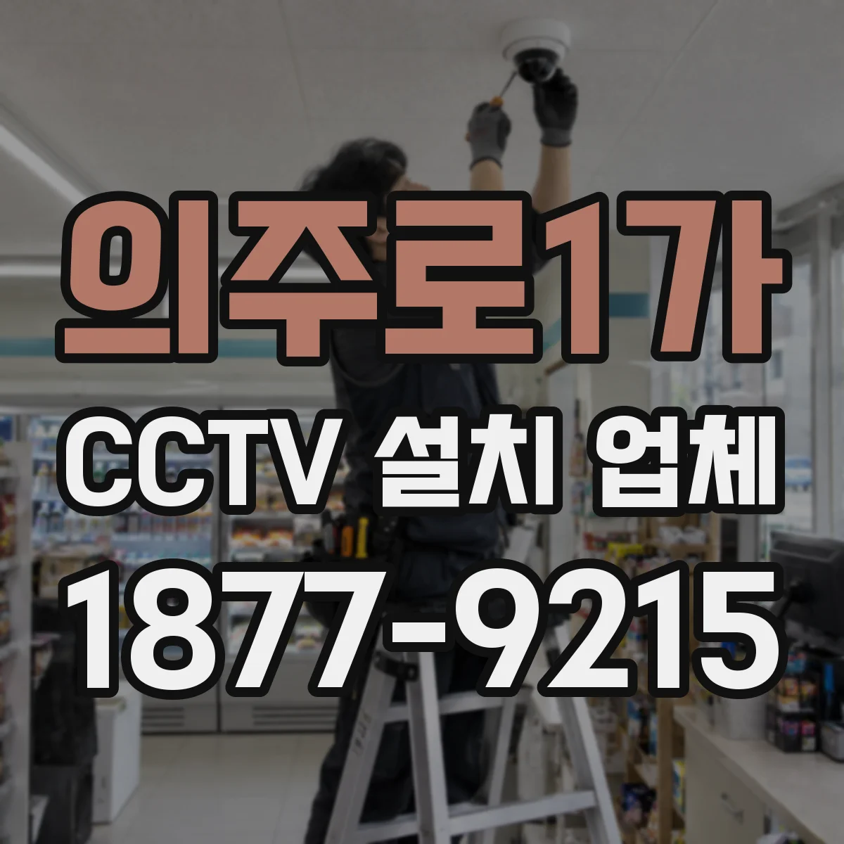 의주로1가 CCTV 설치 업체