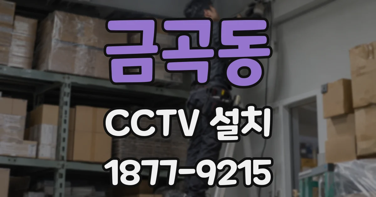 금곡동 CCTV 설치
