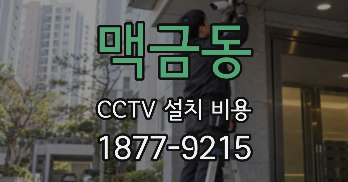 맥금동 CCTV 설치 비용
