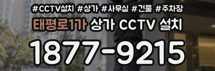태평로1가 상가 CCTV 설치