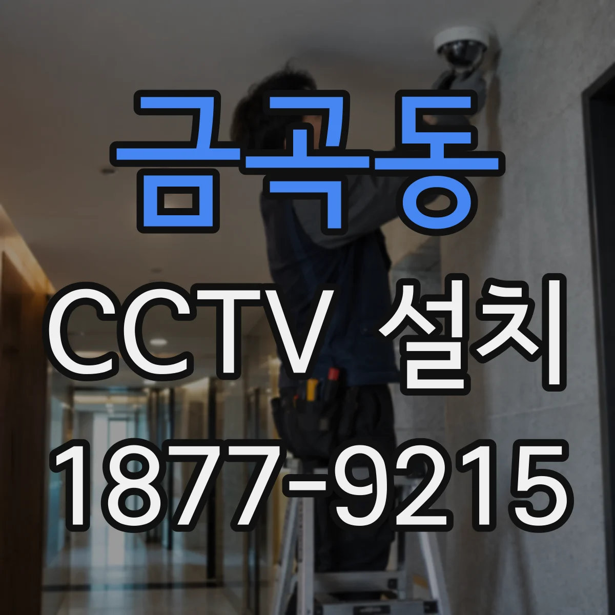 금곡동 CCTV 설치