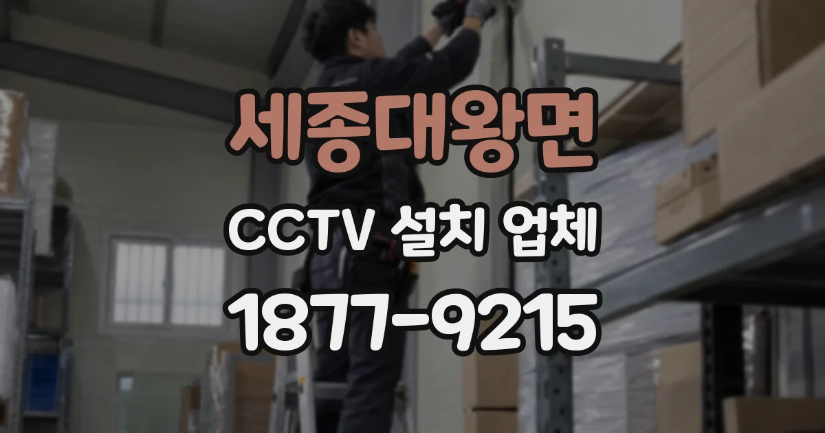 세종대왕면 CCTV 설치 업체