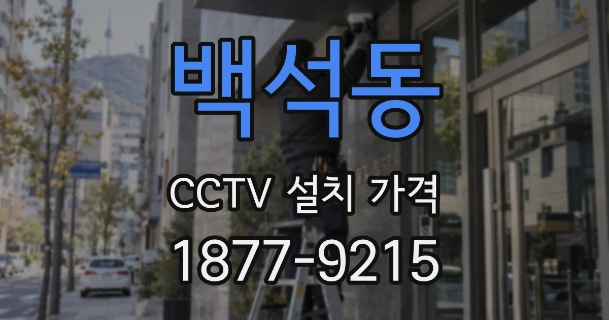 백석동 CCTV 설치 가격