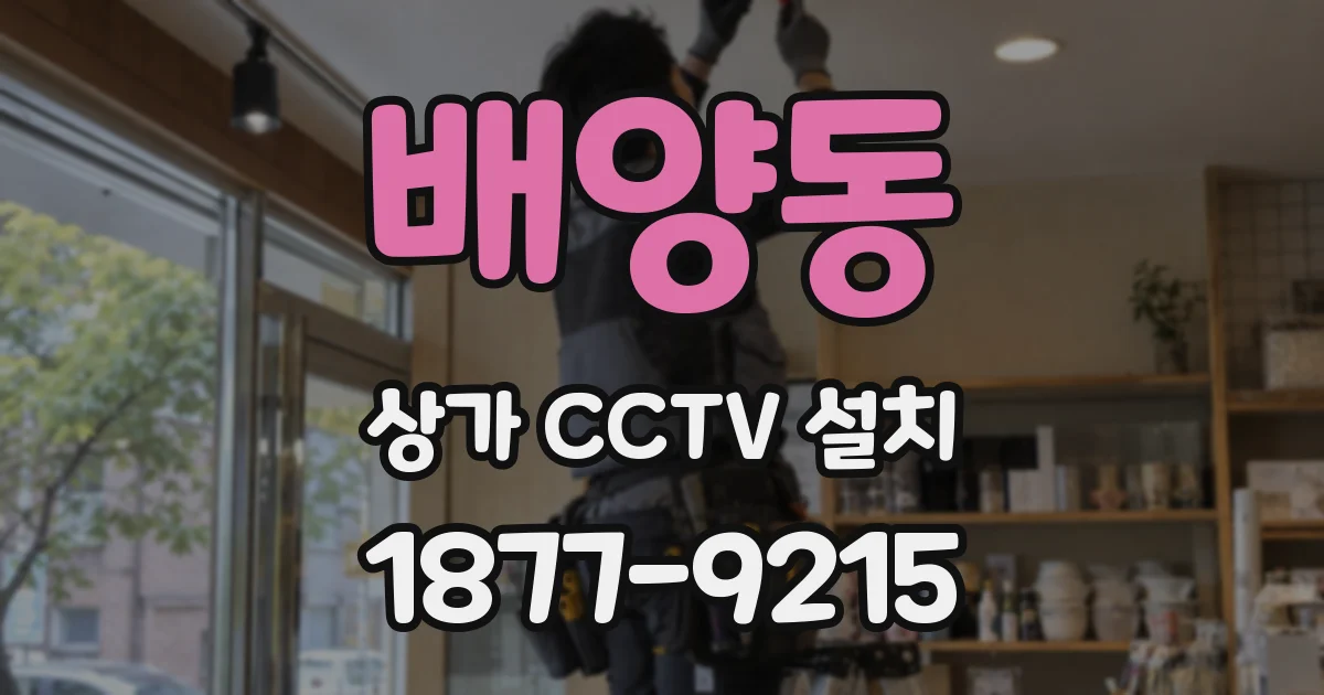 배양동 상가 CCTV 설치