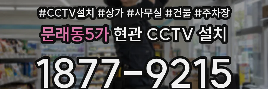 문래동5가 현관 CCTV 설치