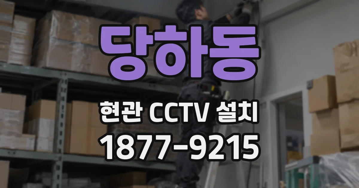 당하동 현관 CCTV 설치