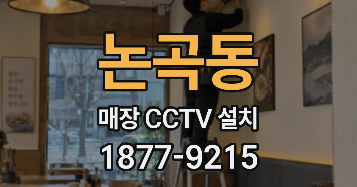 논곡동 매장 CCTV 설치