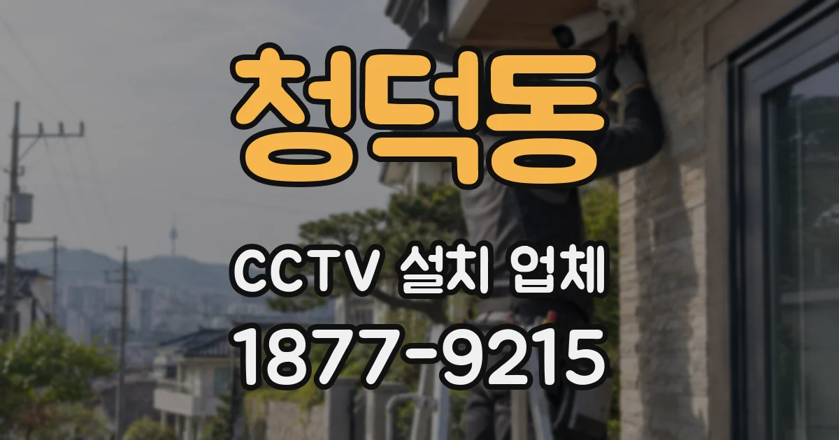 청덕동 CCTV 설치 업체