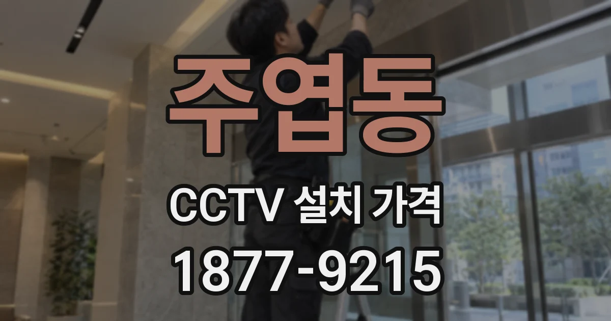 주엽동 CCTV 설치 가격