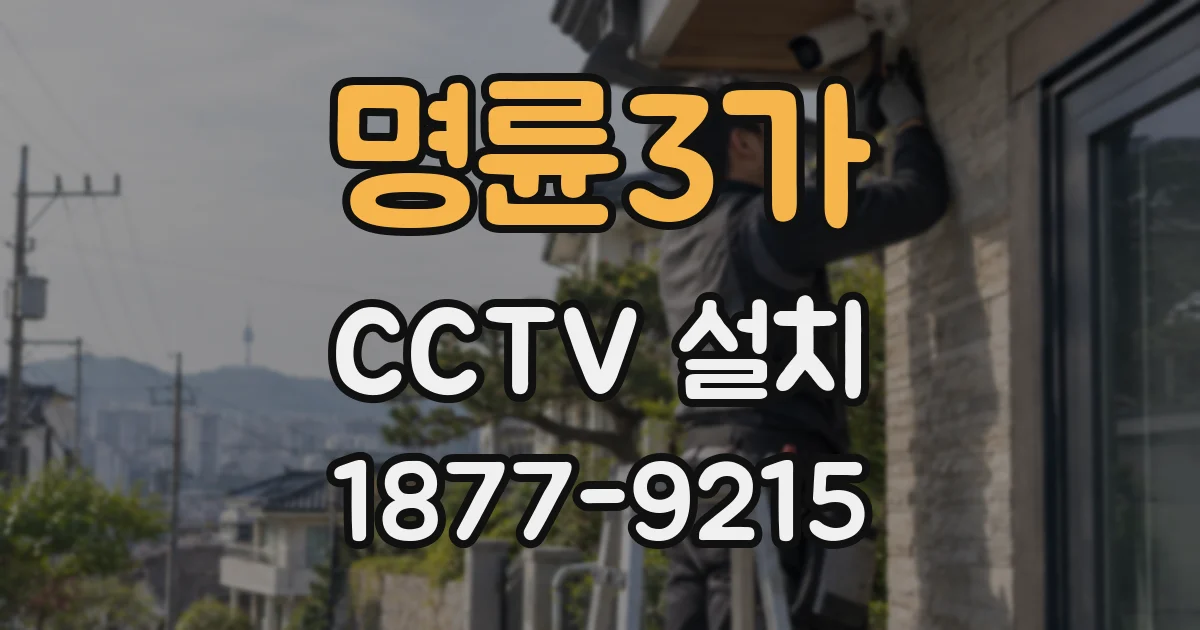 명륜3가 CCTV 설치