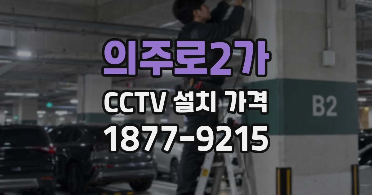 의주로2가 CCTV 설치 가격