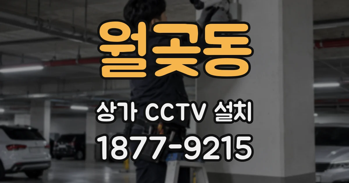 월곶동 상가 CCTV 설치