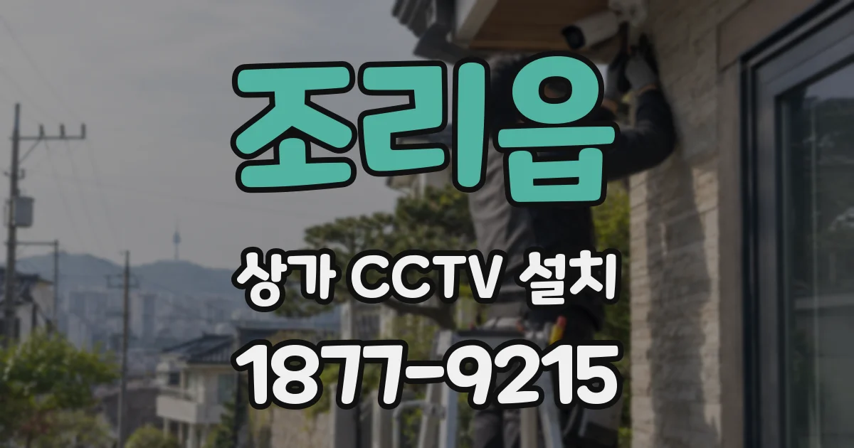 조리읍 상가 CCTV 설치