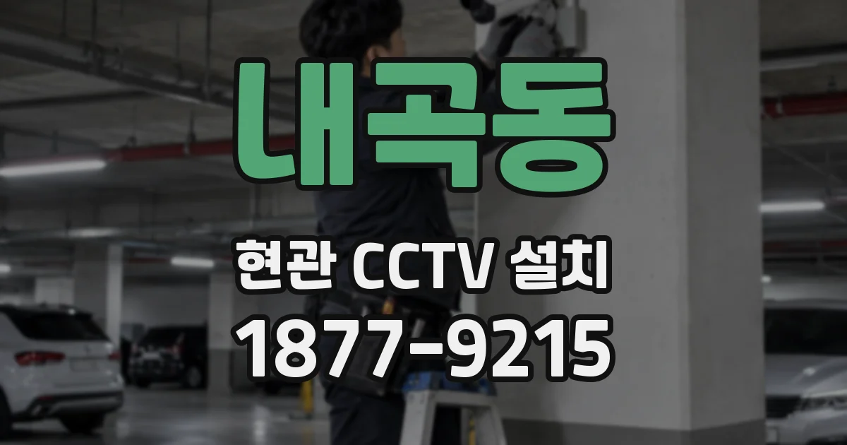 내곡동 현관 CCTV 설치