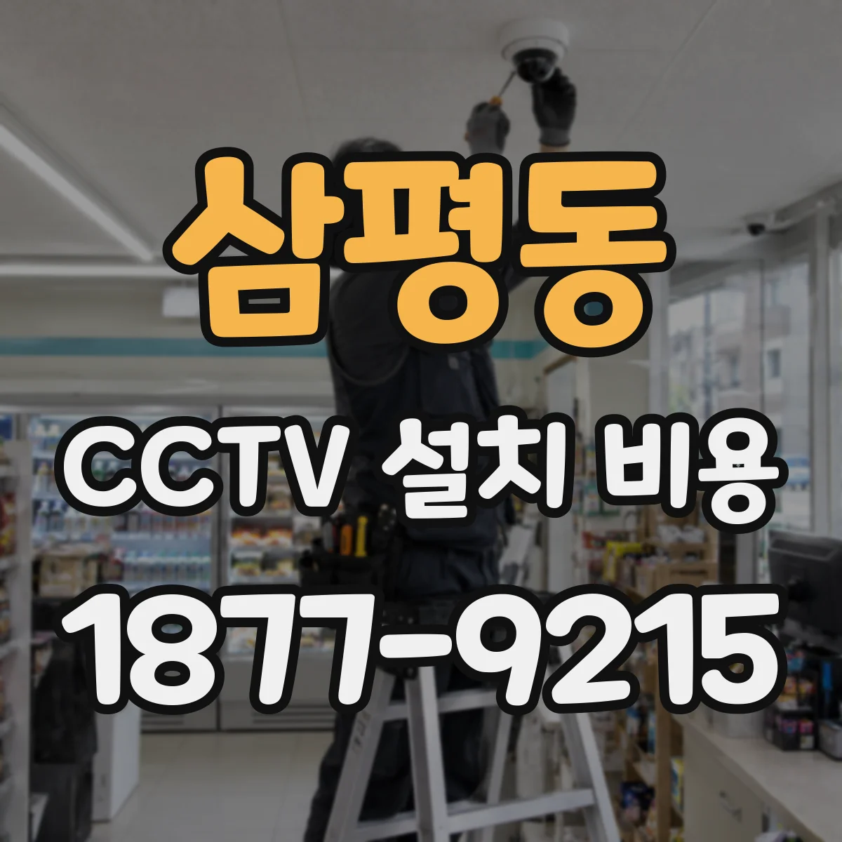 삼평동 CCTV 설치 비용