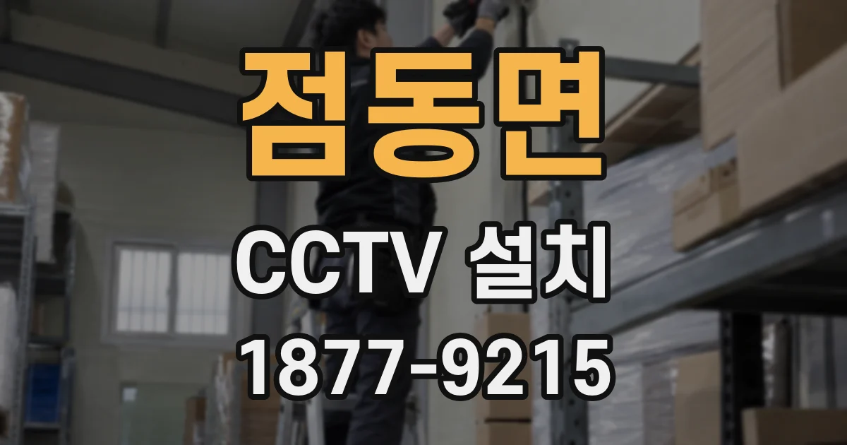 점동면 CCTV 설치