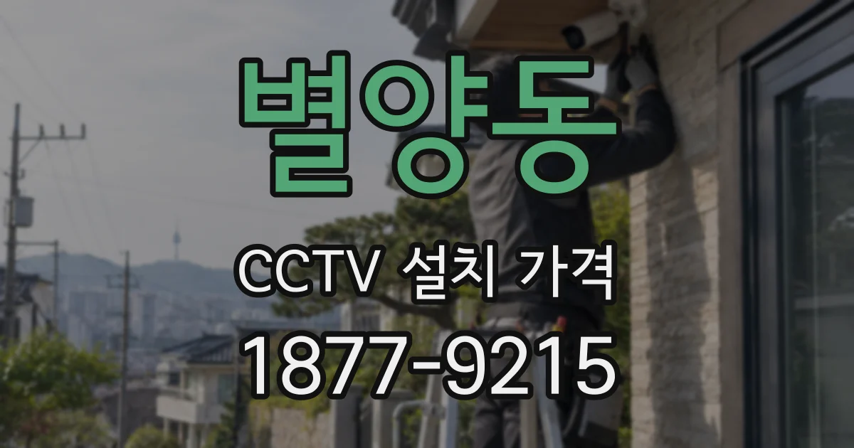 별양동 CCTV 설치 가격
