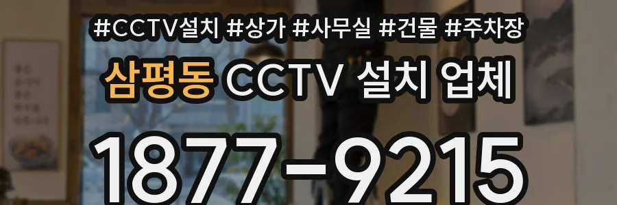 삼평동 CCTV 설치 업체