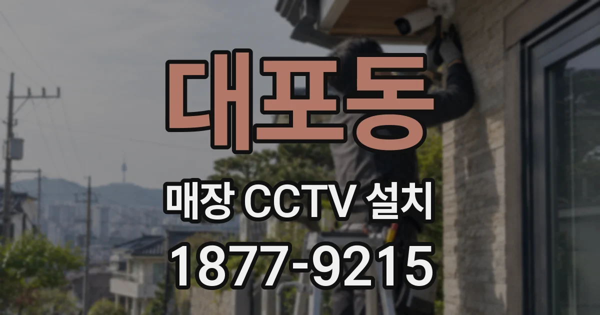 대포동 매장 CCTV 설치
