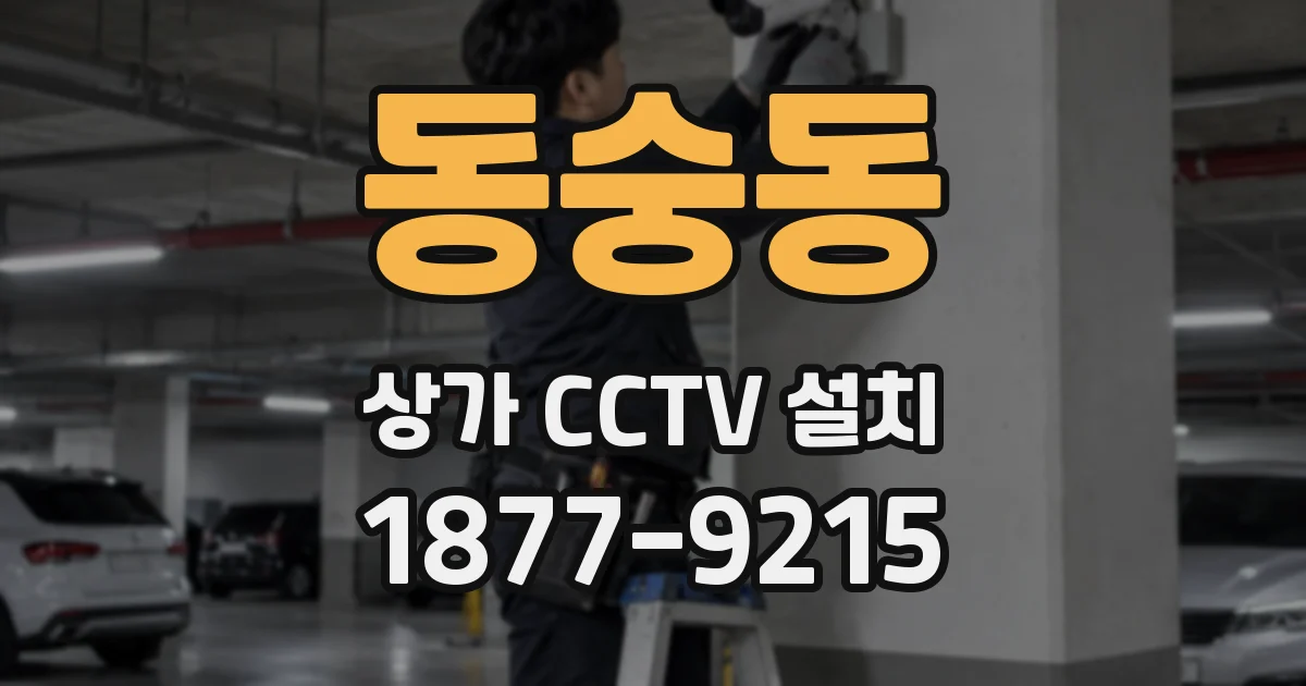 동숭동 상가 CCTV 설치