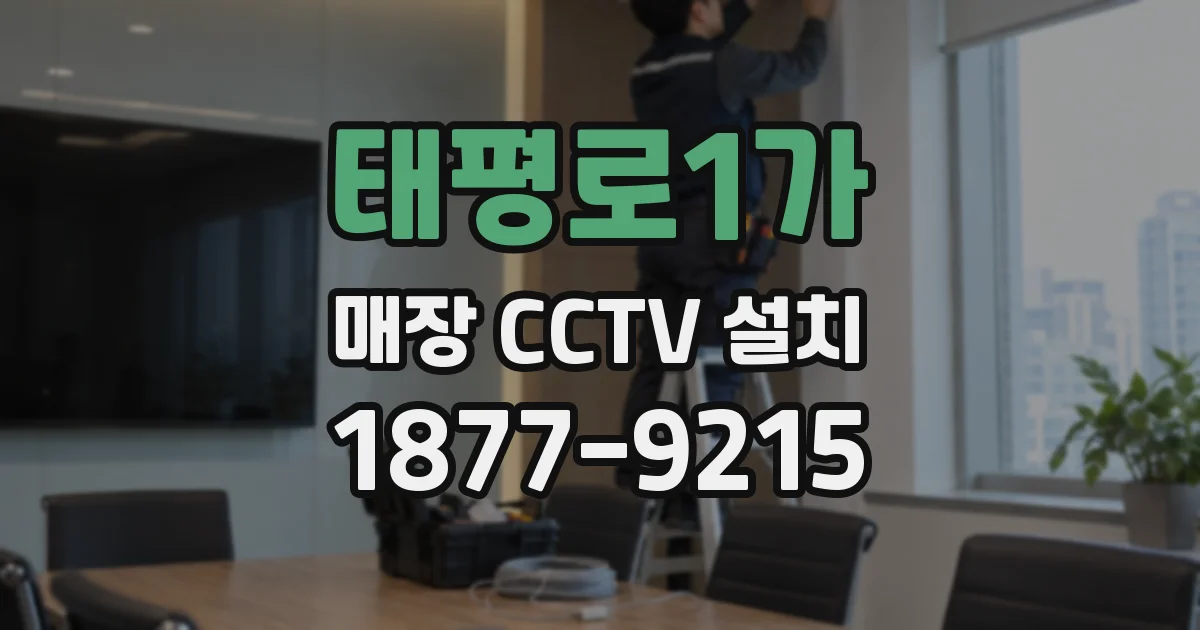 태평로1가 매장 CCTV 설치