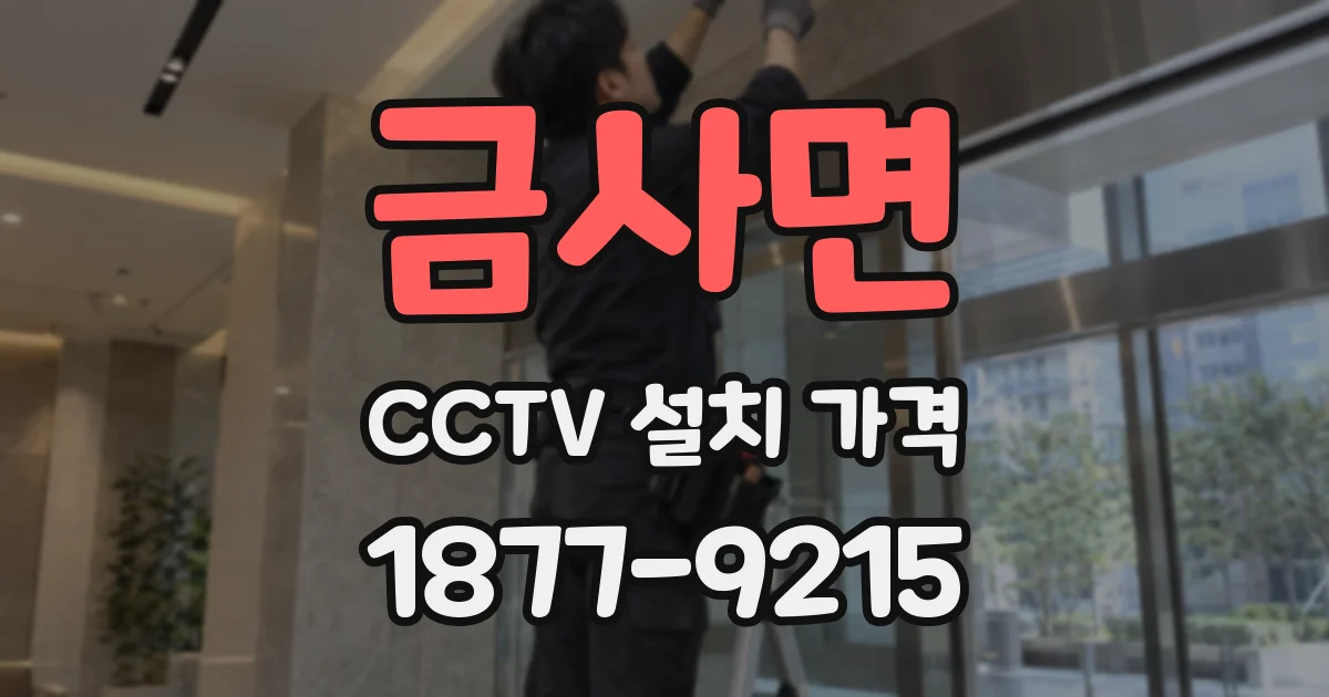 금사면 CCTV 설치 가격