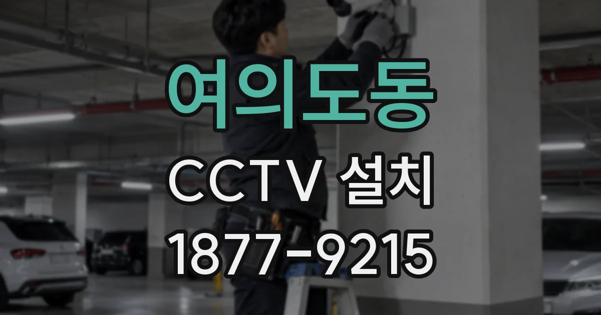 여의도동 CCTV 설치