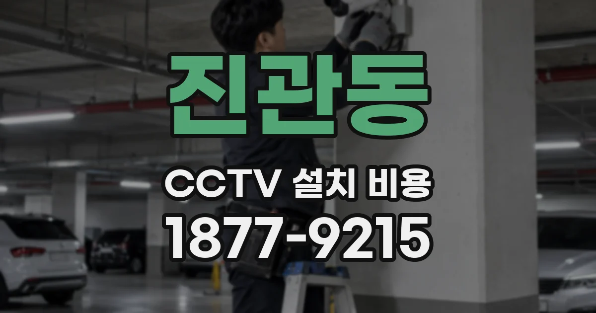 진관동 CCTV 설치 비용