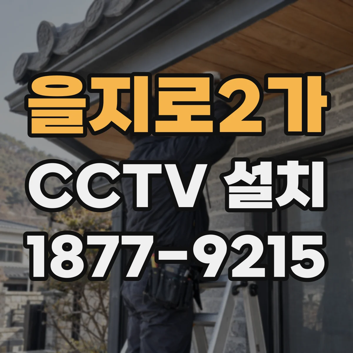 을지로2가 CCTV 설치