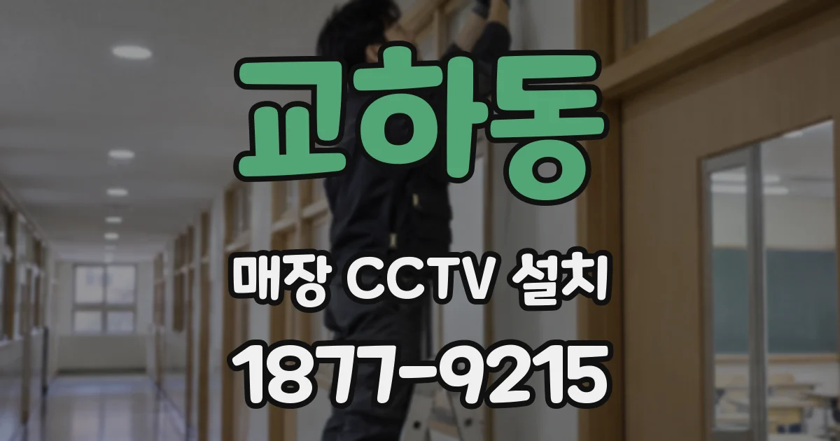 교하동 매장 CCTV 설치